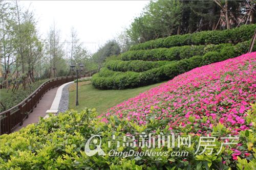 青岛香山美墅百余套洋房别墅开盘在即 市北最美别墅实景提前曝光(多图