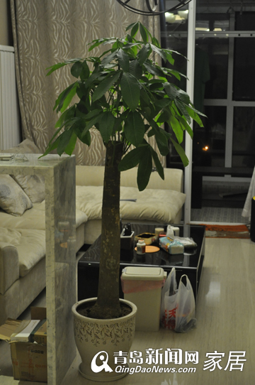 写日记玩装修 青岛业主打造万科金色城品77㎡