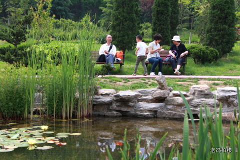 老冯拍楼:乐在青岛太平角公园 ── 乐游青岛