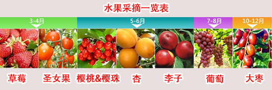 智慧之城周边水果采摘一览表,青岛新闻网房产