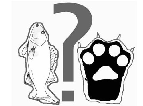 刚需,西进,北上,无奈,青岛新闻网 刚需,西进,北上,无奈,青岛新闻网