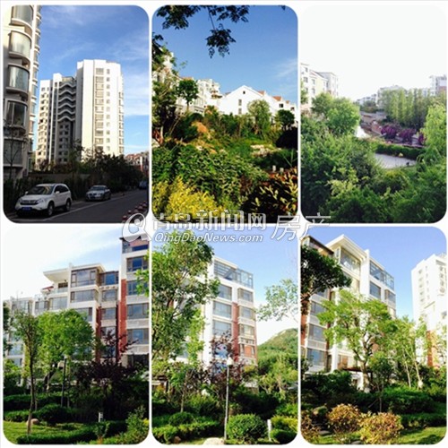 石老人,西海岸,浮山后,升值 石老人,西海岸,浮山后,升值