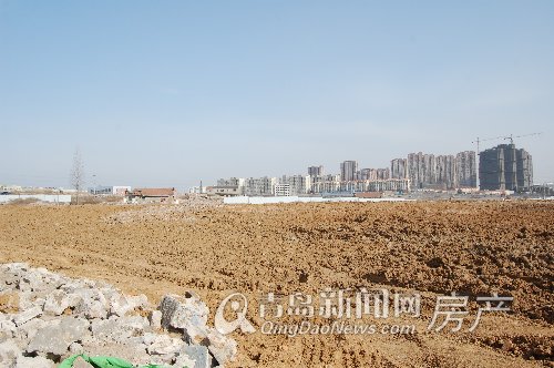 世园会,新都心,土地拍卖,现场,6月,青岛 世园会,新都心,土地拍卖,现场,6月,青岛