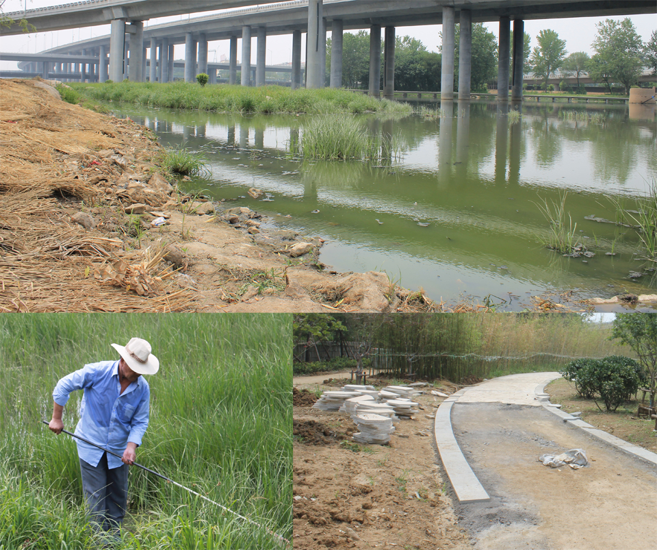 百年李村集,走访,改造在即,青岛新闻网房产 百年李村集,走访,改造在即,青岛新闻网房产