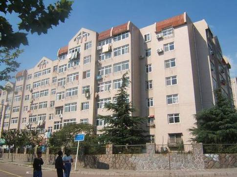 老城区,新都心,西海岸,台东,浮山后,大港 老城区,新都心,西海岸,台东,浮山后,大港