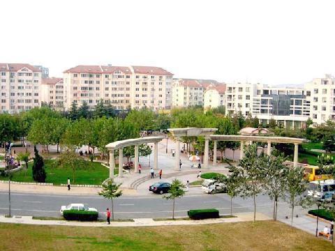 老城区,新都心,西海岸,台东,浮山后,大港 老城区,新都心,西海岸,台东,浮山后,大港