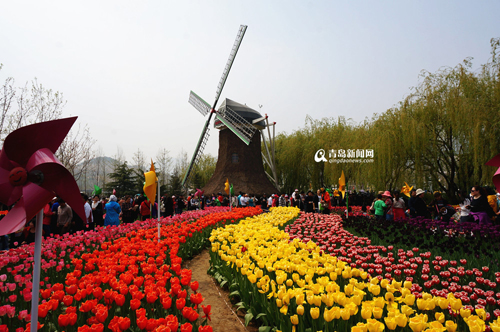 青岛,世园会,环境,交通,李沧区 青岛,世园会,环境,交通,李沧区