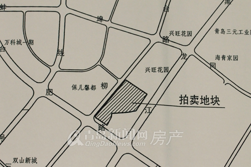 纪录土地市场最后的'举牌拍卖会' 纪录土地市场最后的'举牌拍卖会'