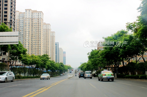 土地,出让,青岛,楼市,新宠,片区 土地,出让,青岛,楼市,新宠,片区