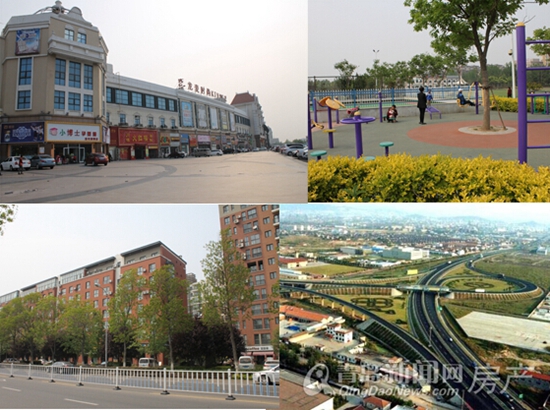 青岛,主城区,红岛,高新区 青岛,主城区,红岛,高新区