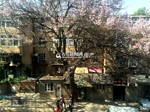 人民路295号,温州路52号,温州路54号,棚改,拆迁补偿款,青岛新闻网房产 人民路295号,温州路52号,温州路54号,棚改,拆迁补偿款,青岛新闻网房产