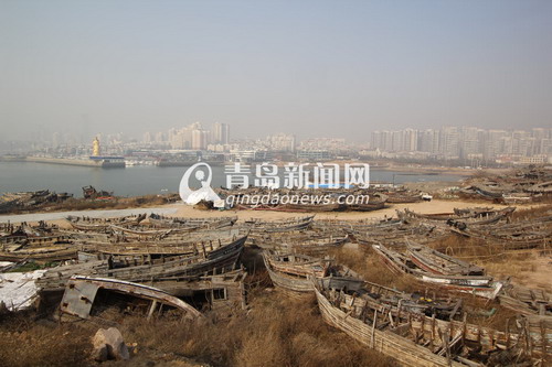 崂山区长:小麦岛将建成生态公园 崂山区长:小麦岛将建成生态公园