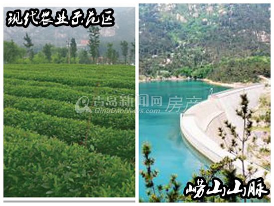 西海岸,区域,定位 西海岸,区域,定位