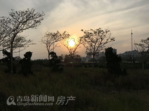 山体公园,青岛,配套,楼市,新宠 山体公园,青岛,配套,楼市,新宠