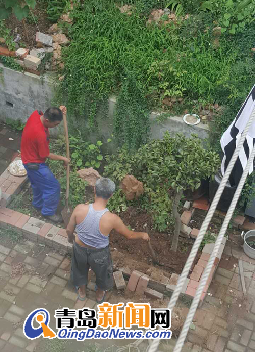 福山支路26号,违章建筑,公共区域 福山支路26号,违章建筑,公共区域