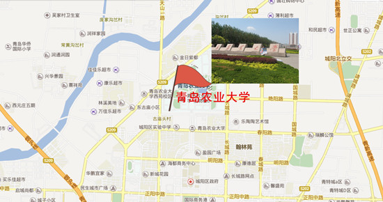 青岛,开学,房价,小目标,一个亿 青岛,开学,房价,小目标,一个亿