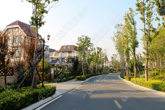 青岛,近郊,板块,置业,高新区,西海岸 青岛,近郊,板块,置业,高新区,西海岸