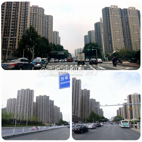 青岛,重庆南路,黑龙江路,买房,楼市,小白干路 青岛,重庆南路,黑龙江路,买房,楼市,小白干路