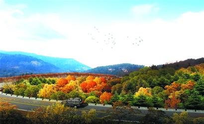 花园,李沧,老企业,搬迁 花园,李沧,老企业,搬迁