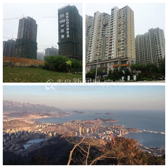 青岛,房价,摸底,市北,李沧,市南,崂山 青岛,房价,摸底,市北,李沧,市南,崂山