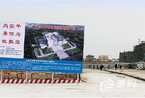 山大青岛校区将建附属幼儿园及中小学 周边楼