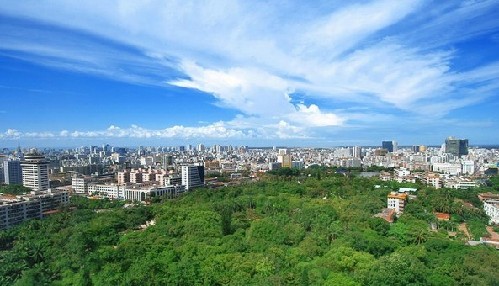 青岛获 国家森林城市 称号 生态建设打造宜居城