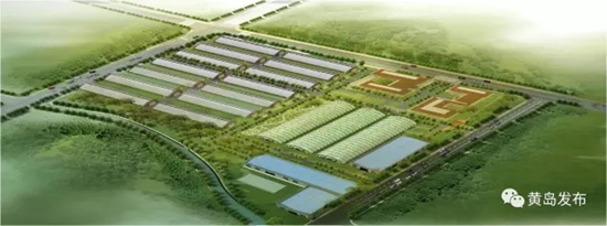 西海岸总投资52亿元的13个现代农业项目集中