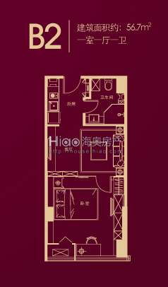唐宁国际B2户型-1室1厅1卫 56.7平米