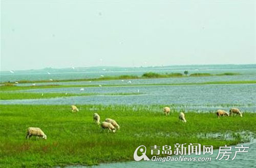 青岛土地拍卖,莱西市土地拍卖,青岛土地市场