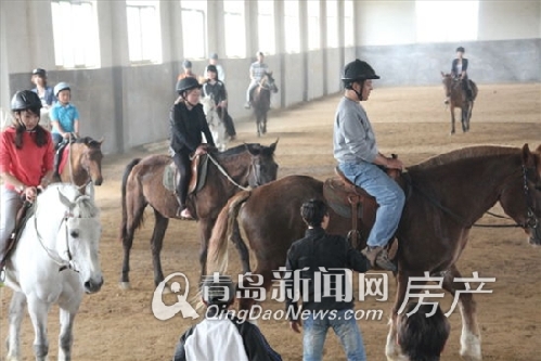 名汇国际举办“巅峰人生，骑乐无穷”——马术之旅活动