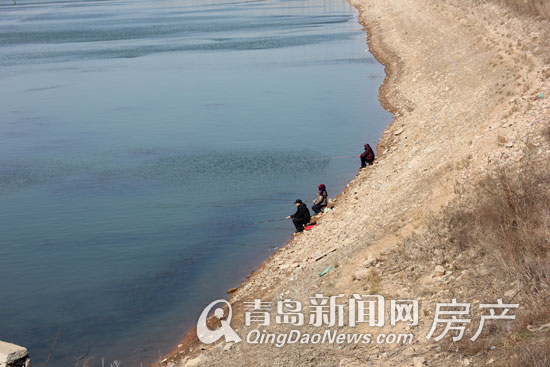 惜夏板块,惜福镇,北岸新城