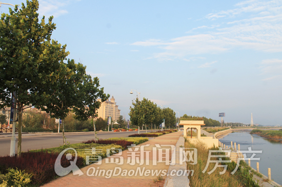 惜夏板块,西海岸,海景房,生态宜居