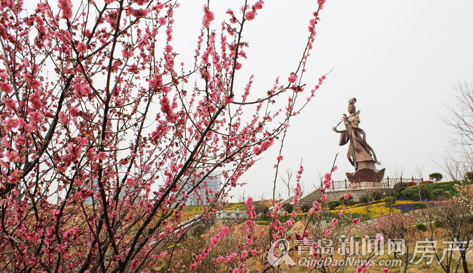 青岛,世园会,分会场,枯桃,唐岛湾,国学公园,太平山,李村河