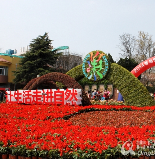 青岛,世园会,分会场,枯桃,唐岛湾,国学公园,太平山,李村河