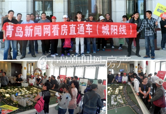 青岛,新闻网,看房车