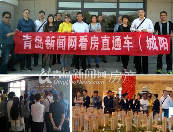 青岛,新闻网,看房车