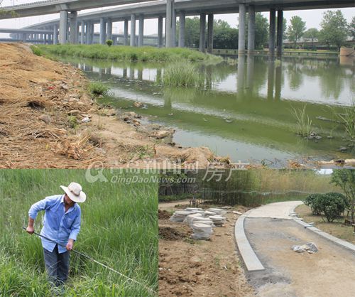 李村河下游整治工程已开工实景图