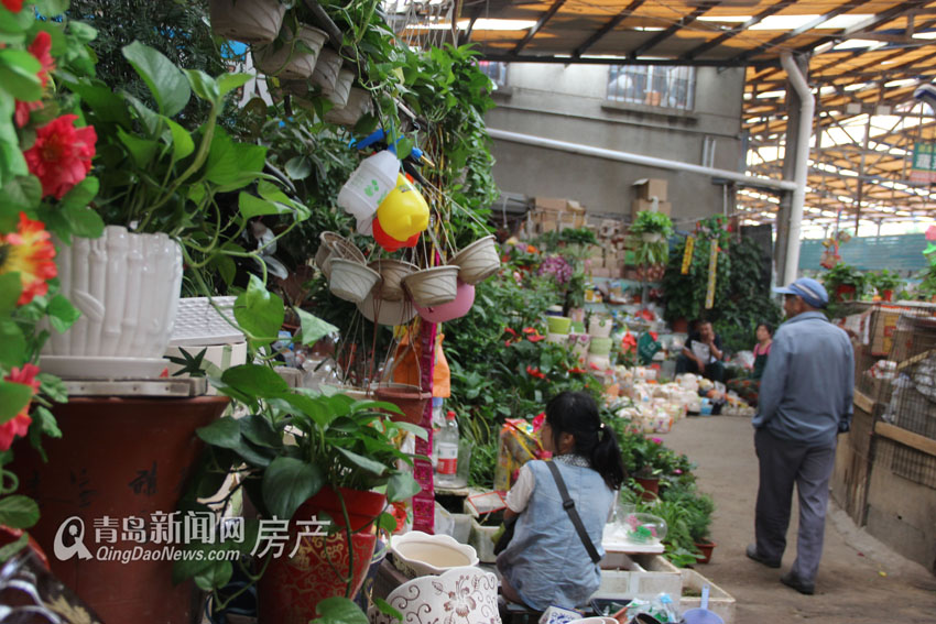 西海岸,双城生活,隧道