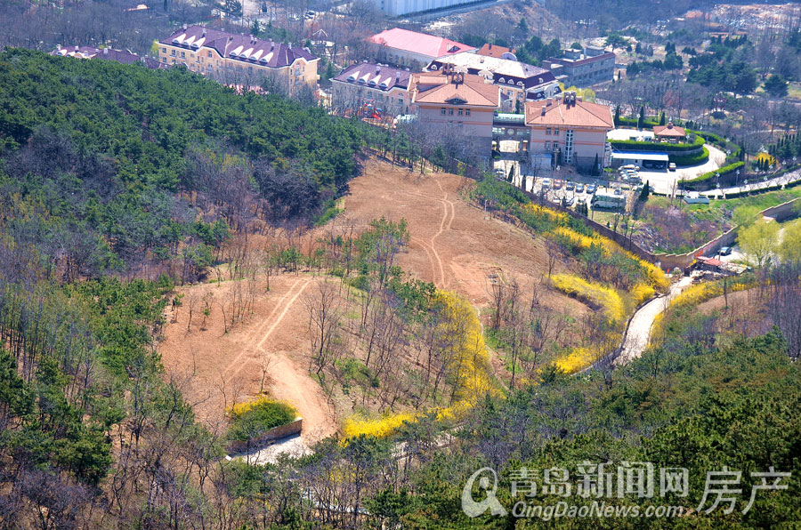 浮山,山头公园,改造