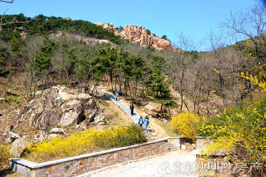 浮山,山头公园,改造