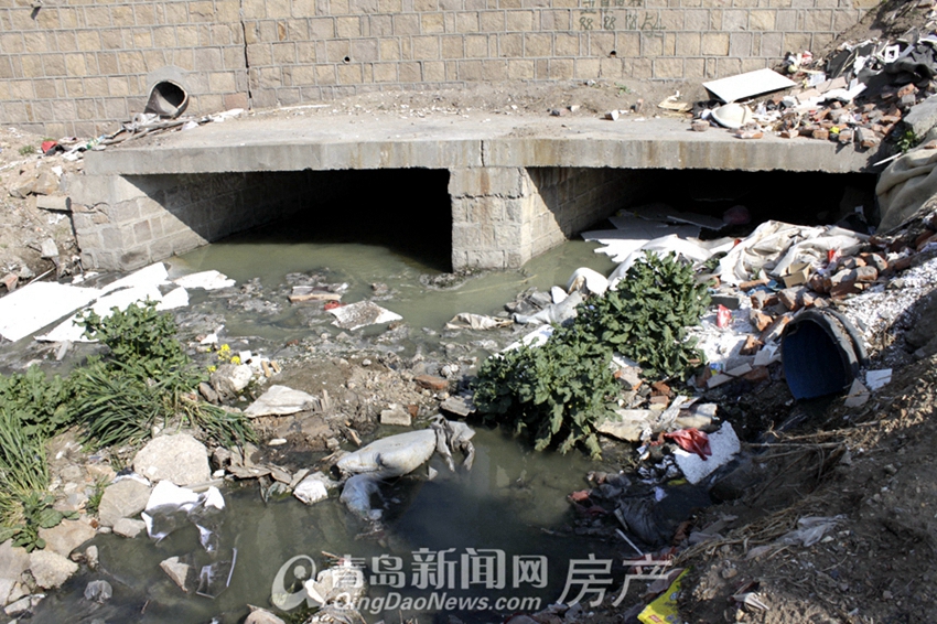 青岛河流整治,海泊河,杭州河,湖岛河,水清沟