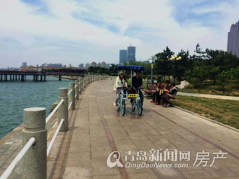 青岛,胶州湾,环湾绿道,实景图,七区市,青岛新闻网房产