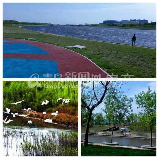 青岛高新区,买房,楼市,鲁商,世茂,雨润