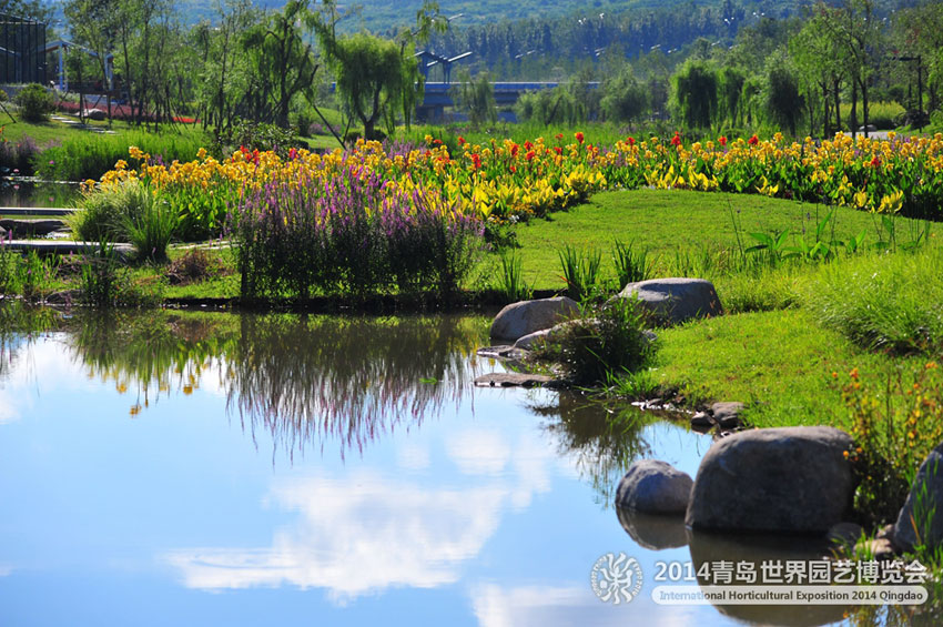 2015年,青岛,旅游大项目,2016年