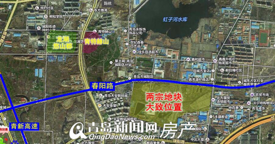青岛,城阳,中心,地段,拍卖