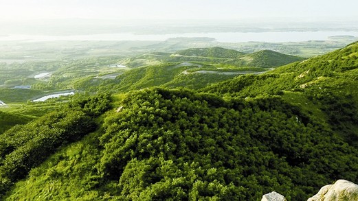 特色小镇,青岛,西海岸,胶州,李哥庄,海青镇,