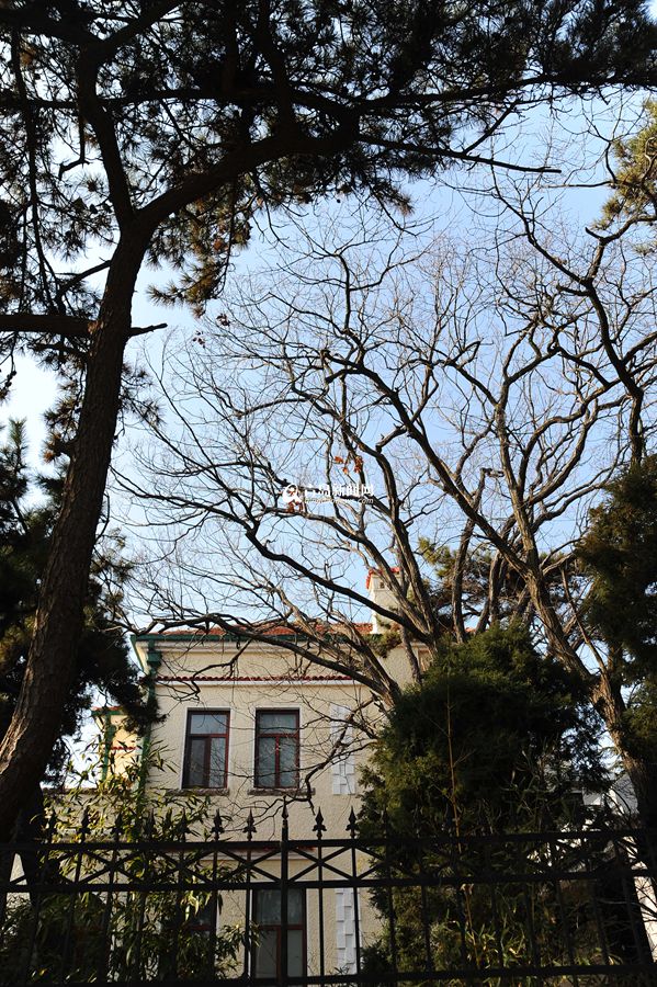 青岛,冬日,最美建筑