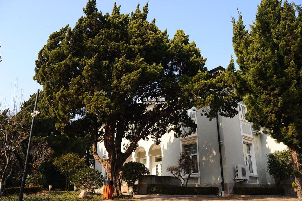 青岛,冬日,最美建筑