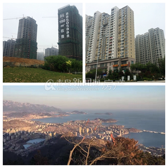 青岛,房价,摸底,市北,李沧,市南,崂山